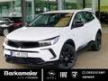 Opel Grandland GS 1.2 Mild-Hybrid *LED Matrix/Kamera* Blanc - thumbnail 1