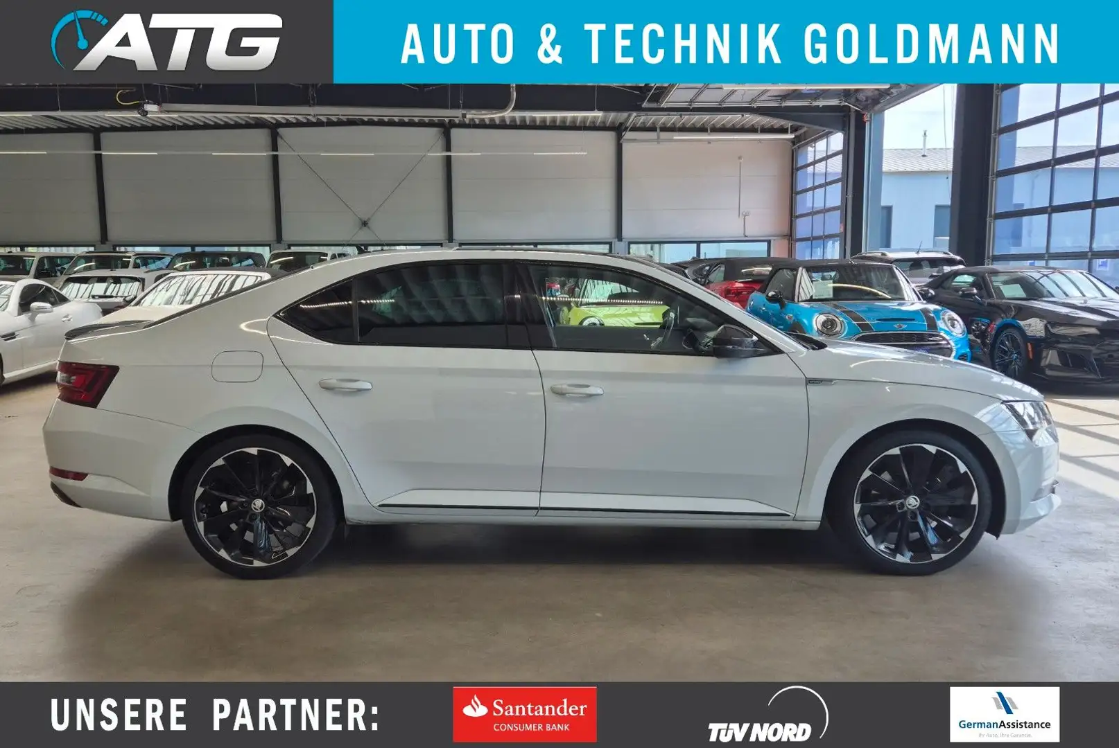 Skoda Superb SUPERB SPORTLINE 4x4 XENON AHK ACC STANDHZ PANO Bianco - 1