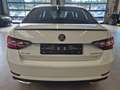 Skoda Superb SUPERB SPORTLINE 4x4 XENON AHK ACC STANDHZ PANO Bianco - thumbnail 6