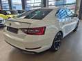 Skoda Superb SUPERB SPORTLINE 4x4 XENON AHK ACC STANDHZ PANO Bianco - thumbnail 5
