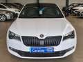 Skoda Superb SUPERB SPORTLINE 4x4 XENON AHK ACC STANDHZ PANO Bianco - thumbnail 2