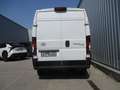Toyota Proace Max BEV Meister L3H2 MEIST. L3H2 Weiß - thumbnail 6