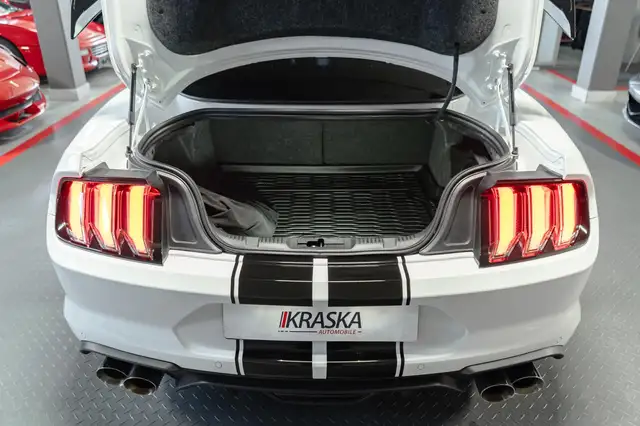 Ford Mustang view 11