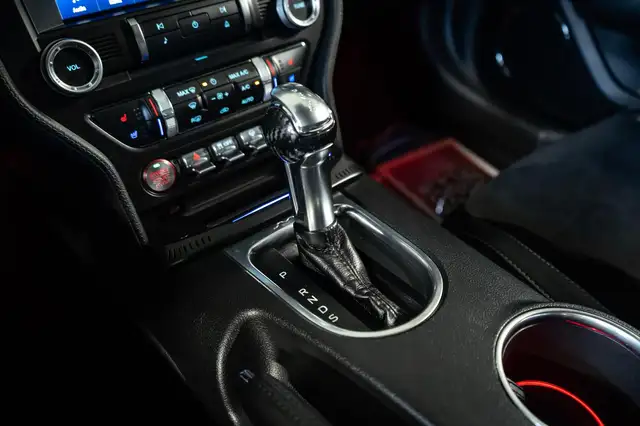 Ford Mustang view 21