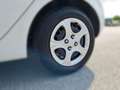 Kia Picanto Titan Klima Sitz+Lenkradheitzung Wit - thumbnail 8