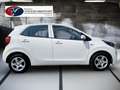 Kia Picanto Titan Klima Sitz+Lenkradheitzung Wit - thumbnail 3