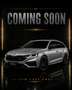Skoda Octavia 2,0 TDI RS DSG Grau - thumbnail 18