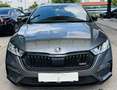 Skoda Octavia 2,0 TDI RS DSG Grau - thumbnail 11