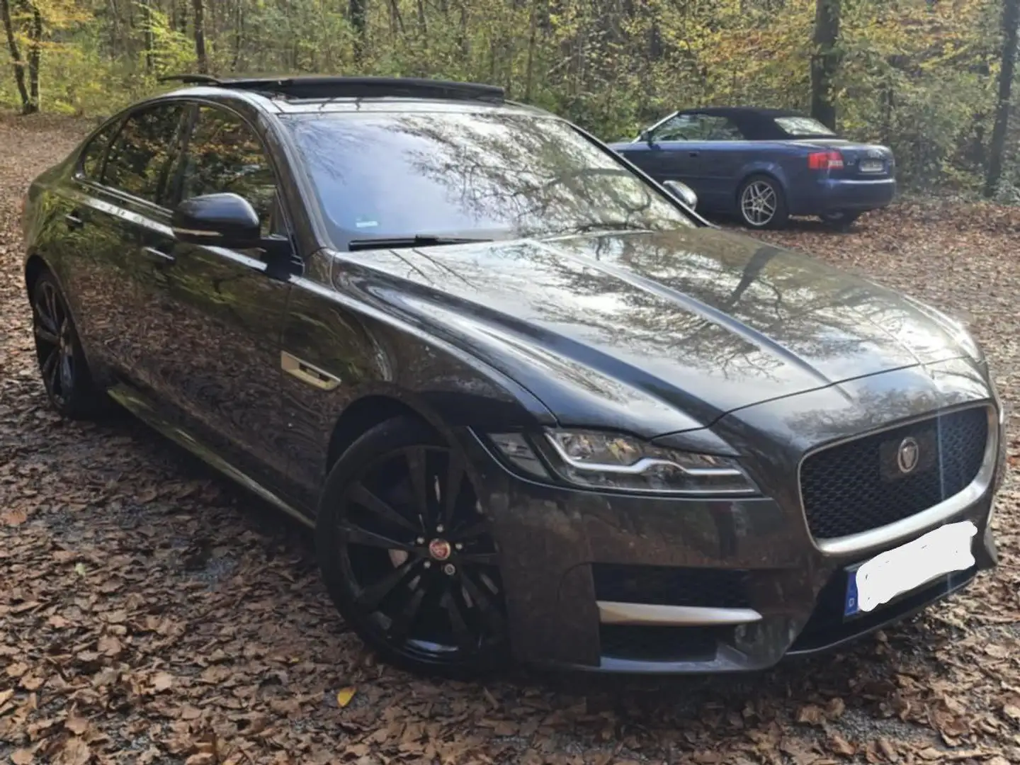 Jaguar XF XF Diesel 30d Aut. R-Sport Grau - 1