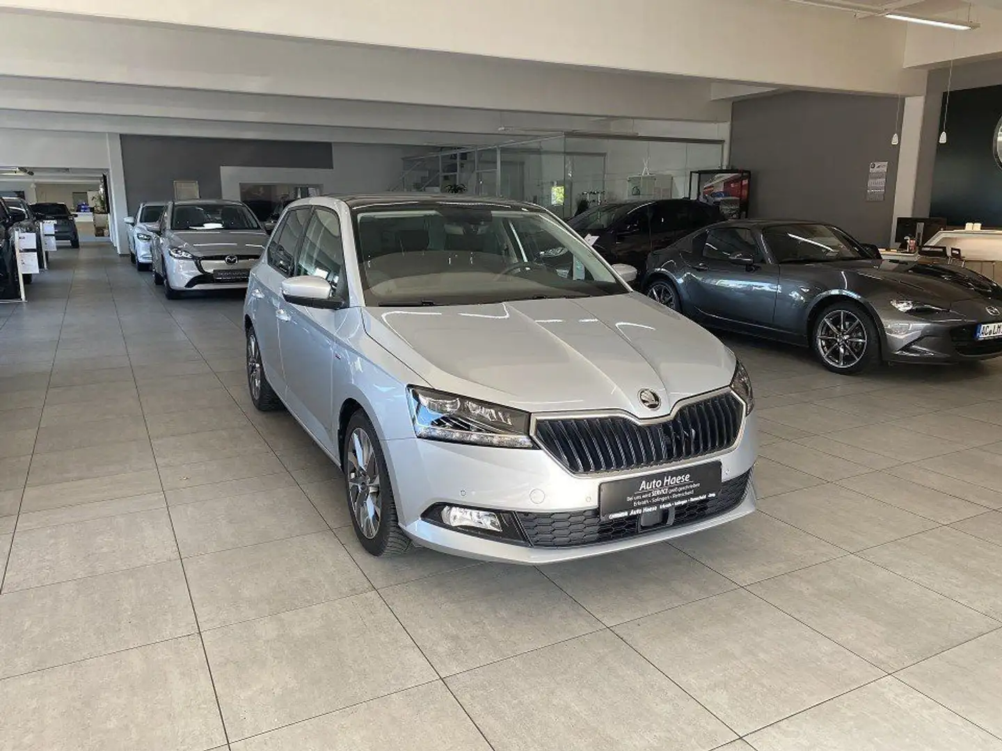 Skoda Fabia 1.0 95PS Clever Best of Zilver - 1