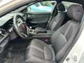 Honda Civic 1,0 VTEC Turbo Executive Sport Line Blanc - thumbnail 12