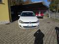 Volkswagen Golf Golf 5p 1.6 tdi (tdi) Highline 110cv dsg Bianco - thumbnail 1