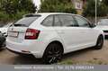 Skoda Rapid/Spaceback 1.0 TSI 110PS Ambition|Sportsitze|Shz|PDC Weiß - thumbnail 8