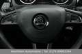Skoda Rapid/Spaceback 1.0 TSI 110PS Ambition|Sportsitze|Shz|PDC Weiß - thumbnail 20