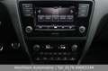 Skoda Rapid/Spaceback 1.0 TSI 110PS Ambition|Sportsitze|Shz|PDC Weiß - thumbnail 17