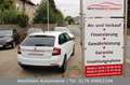 Skoda Rapid/Spaceback 1.0 TSI 110PS Ambition|Sportsitze|Shz|PDC Weiß - thumbnail 6