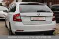 Skoda Rapid/Spaceback 1.0 TSI 110PS Ambition|Sportsitze|Shz|PDC Weiß - thumbnail 4