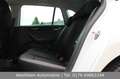 Skoda Rapid/Spaceback 1.0 TSI 110PS Ambition|Sportsitze|Shz|PDC Weiß - thumbnail 14