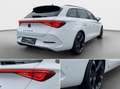 CUPRA Leon Cupra Leon Sportstourer 2.0 TDI DSG *Navi*Kamera Weiß - thumbnail 15