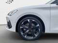 CUPRA Leon Cupra Leon Sportstourer 2.0 TDI DSG *Navi*Kamera Weiß - thumbnail 11