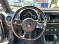 Volkswagen Beetle Cabrio 2.5 5 cilinder ! fender sound, zeer exclusi Gris - thumbnail 7