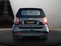 smart forTwo EQ 60kWed passion SHZ PDC+Kamera Ambiente Schwarz - thumbnail 9