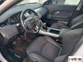 Land Rover Range Rover Evoque Evoque 2.0 td4 Pure 150cv 5p Weiß - thumbnail 8