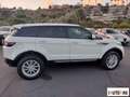 Land Rover Range Rover Evoque Evoque 2.0 td4 Pure 150cv 5p Weiß - thumbnail 4