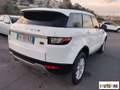 Land Rover Range Rover Evoque Evoque 2.0 td4 Pure 150cv 5p Weiß - thumbnail 5