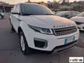 Land Rover Range Rover Evoque Evoque 2.0 td4 Pure 150cv 5p Weiß - thumbnail 3