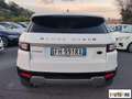 Land Rover Range Rover Evoque Evoque 2.0 td4 Pure 150cv 5p Weiß - thumbnail 6