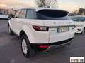 Land Rover Range Rover Evoque Evoque 2.0 td4 Pure 150cv 5p Weiß - thumbnail 7