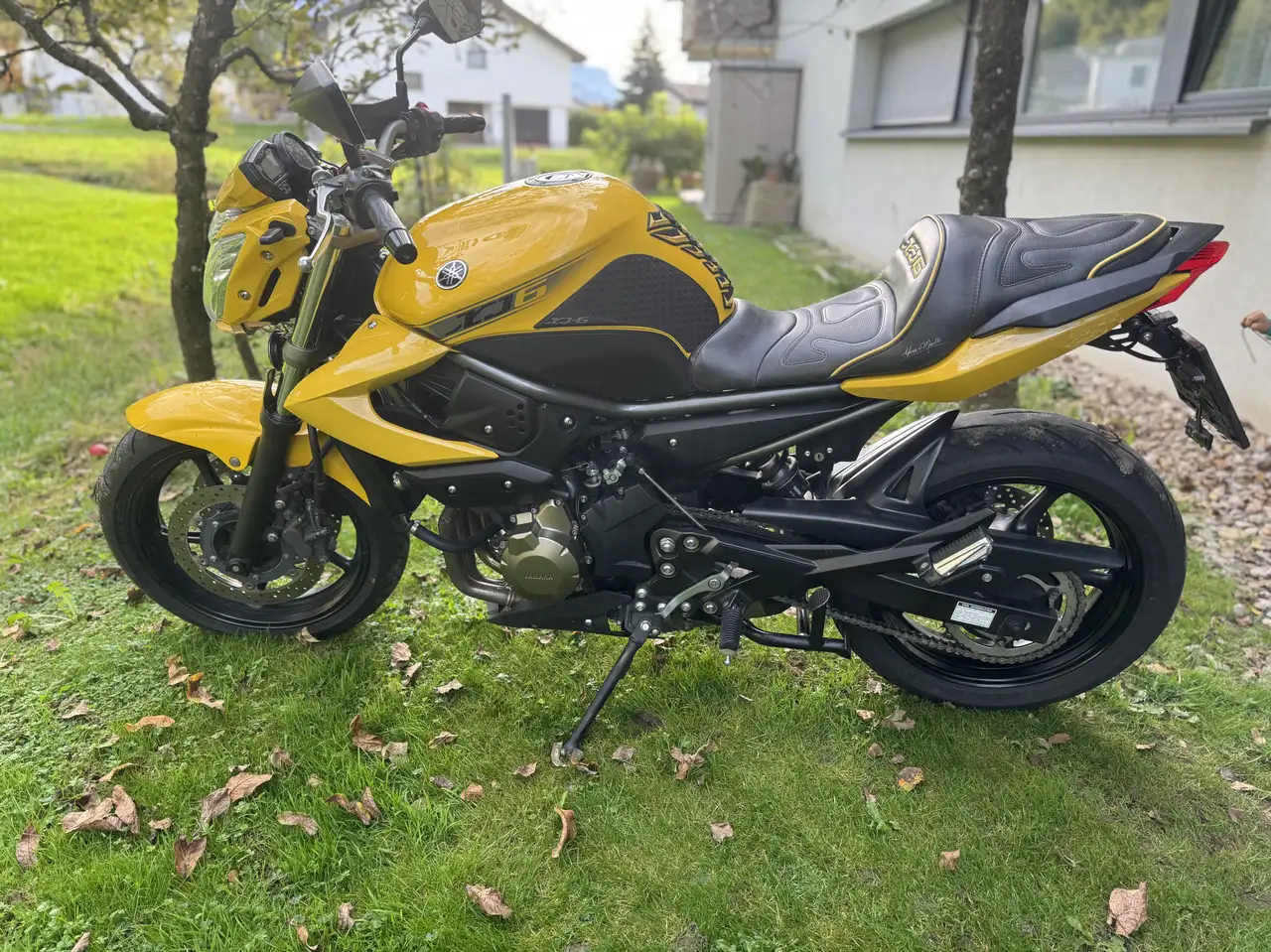 Yamaha XJ 6