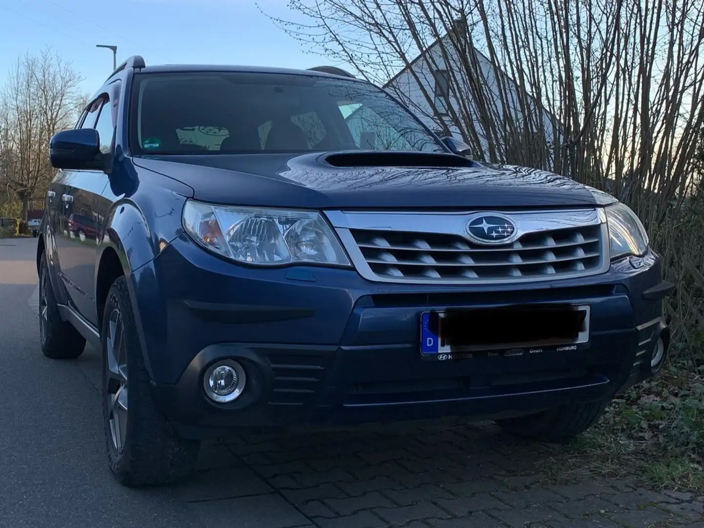 Subaru Forester Forester 2.0D Edition Blauw - 1