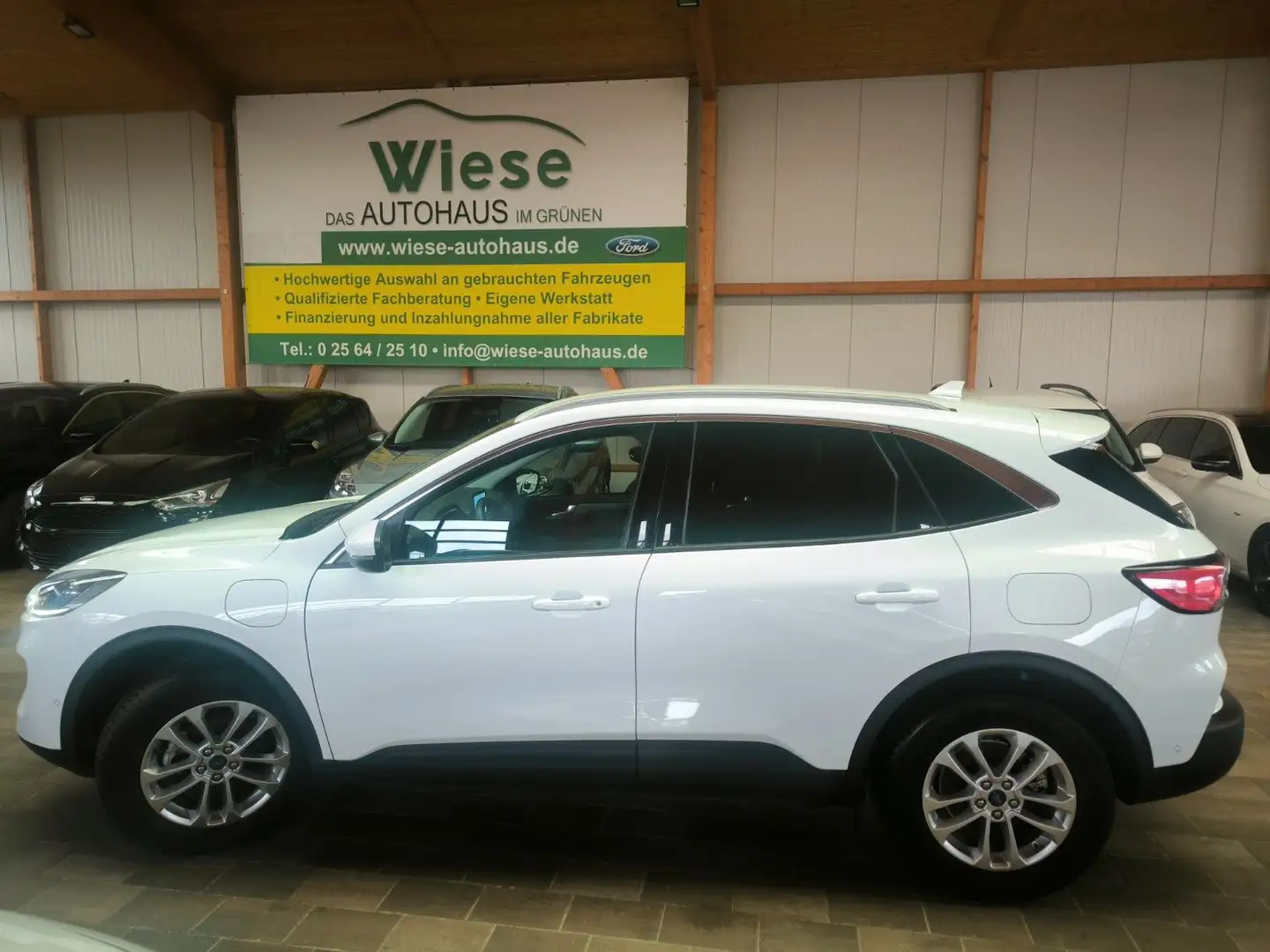 Ford Kuga 2,5 PHEV  Hybrid Titanium X,AHK,IACC,HeadUp Weiß - 1