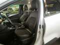 Ford Kuga 2,5 PHEV  Hybrid Titanium X,AHK,IACC,HeadUp Weiß - thumbnail 4