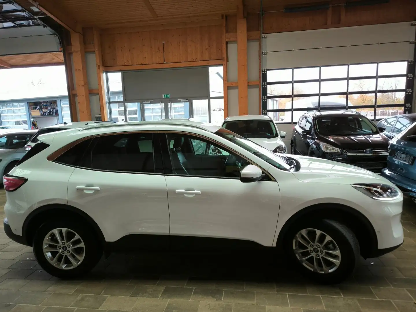 Ford Kuga 2,5 PHEV  Hybrid Titanium X,AHK,IACC,HeadUp Weiß - 2