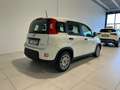 Fiat Panda HYBRID CITY LIFE 5 POSTI SOLI KM 3500 COME NUOVA ! Bianco - thumbnail 3