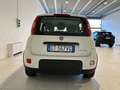 Fiat Panda HYBRID CITY LIFE 5 POSTI SOLI KM 3500 COME NUOVA ! Bianco - thumbnail 5