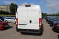 Peugeot Boxer Boxer Kastenwagen 3300 L3H2 BlueHDi 140 S&S Weiß - thumbnail 5