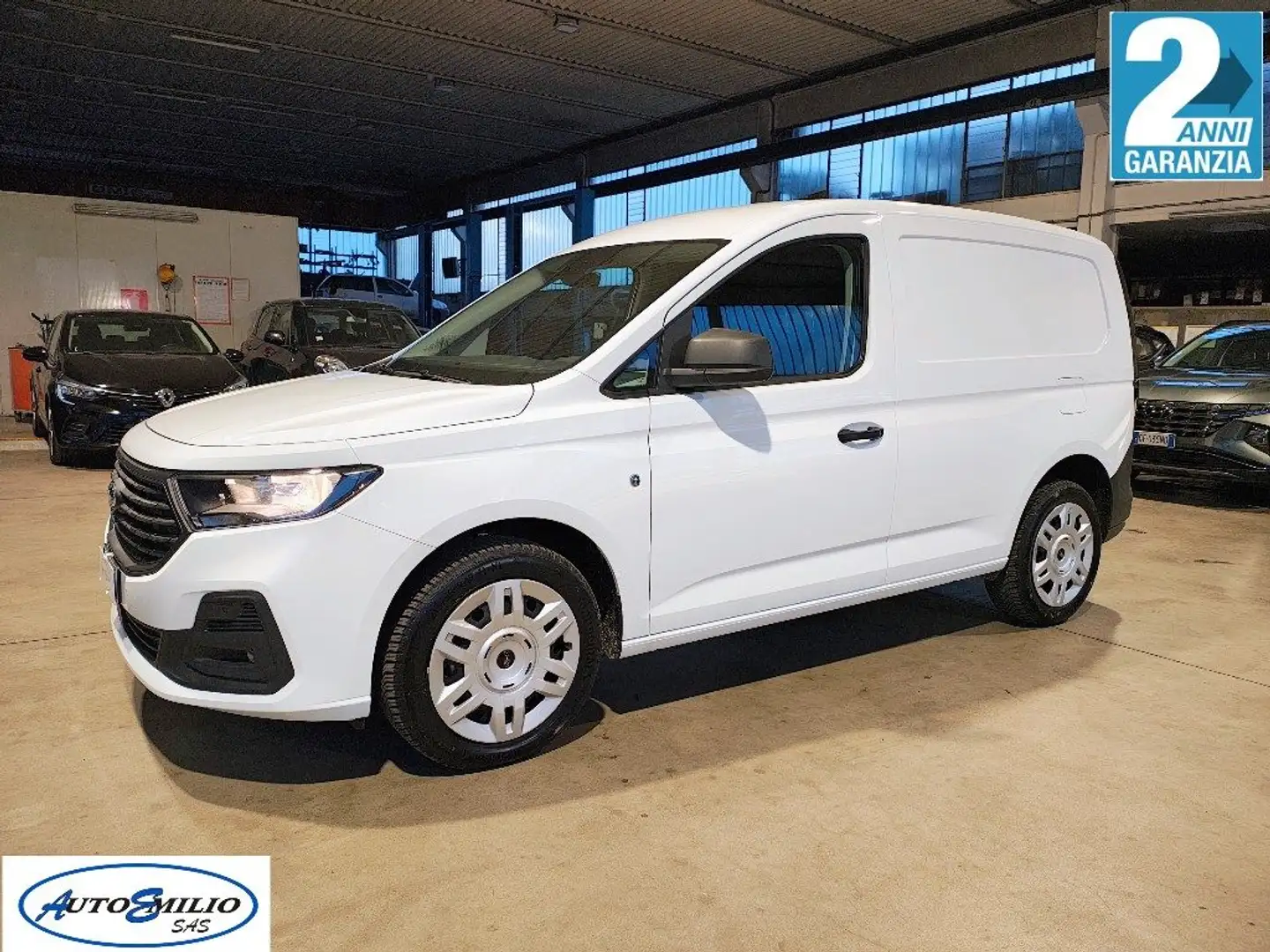 Ford Transit Connect 2.0 Ecoblue PC Furgone Trend Blanco - 1