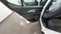 Alfa Romeo Tonale Tonale 1.6 Sprint 130cv TCT6 KM0 Bianco - thumbnail 9