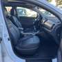 Kia Sportage 1.7CRDi Drive 4x2 Weiß - thumbnail 20