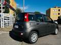 Fiat New Panda MILD HYBRID Grigio - thumbnail 3