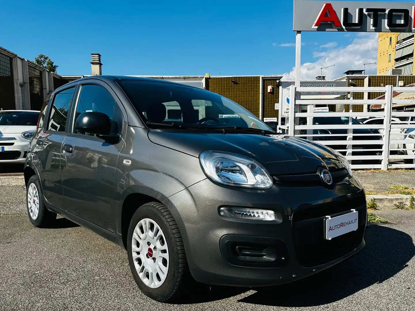 Fiat New Panda MILD HYBRID Grigio - 1