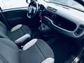 Fiat New Panda MILD HYBRID Grigio - thumbnail 8