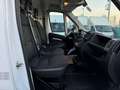 Citroen Jumper L3H2 35+ 140 TÜV/Service/Reifen NEU *ABVERKAUF* - thumbnail 14
