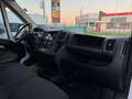 Citroen Jumper L3H2 35+ 140 TÜV/Service/Reifen NEU *ABVERKAUF* - thumbnail 13