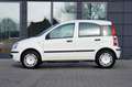 Fiat Panda 1.2 8V  * Benzin / Erdgas* Blanco - thumbnail 4