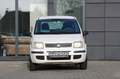 Fiat Panda 1.2 8V  * Benzin / Erdgas* Blanco - thumbnail 3